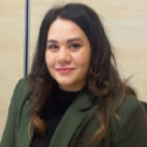 Screenshot 2024-12-20 11.27.33