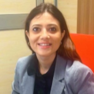 Screenshot 2024-12-20 11.36.26